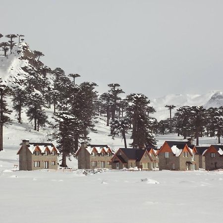 Cabanas Patagonia Village Кавиауэ Экстерьер фото