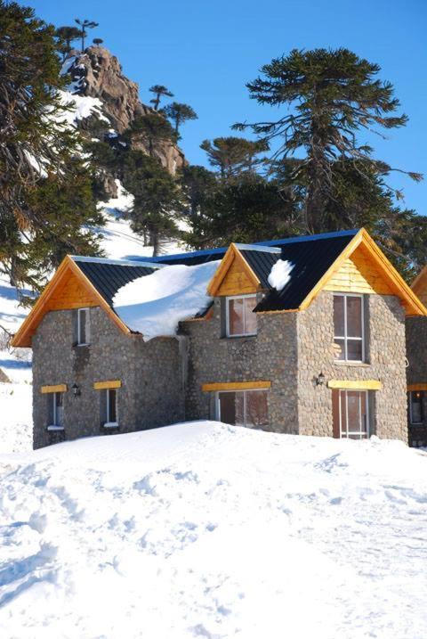 Cabanas Patagonia Village Кавиауэ Экстерьер фото