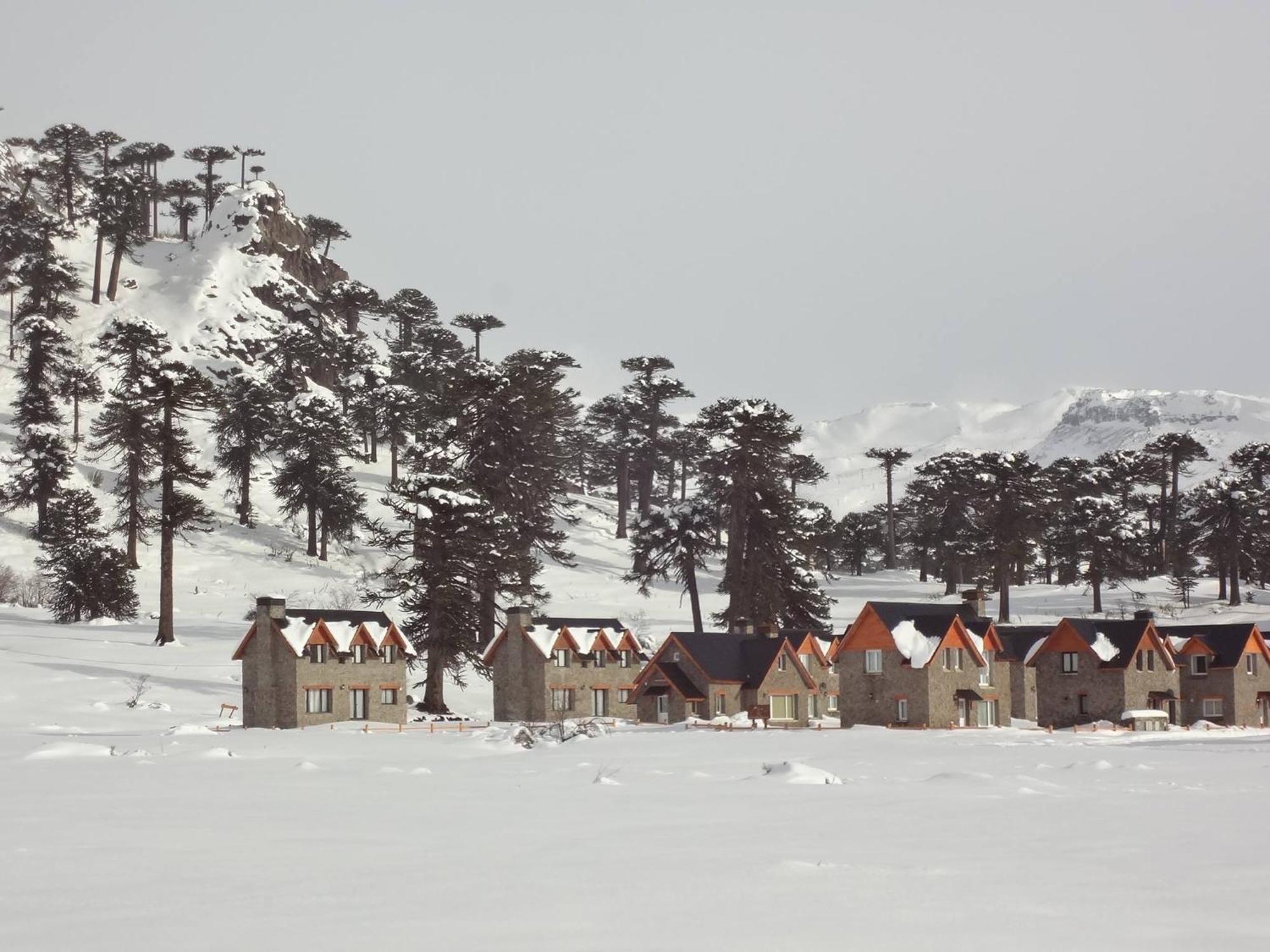 Cabanas Patagonia Village Кавиауэ Экстерьер фото