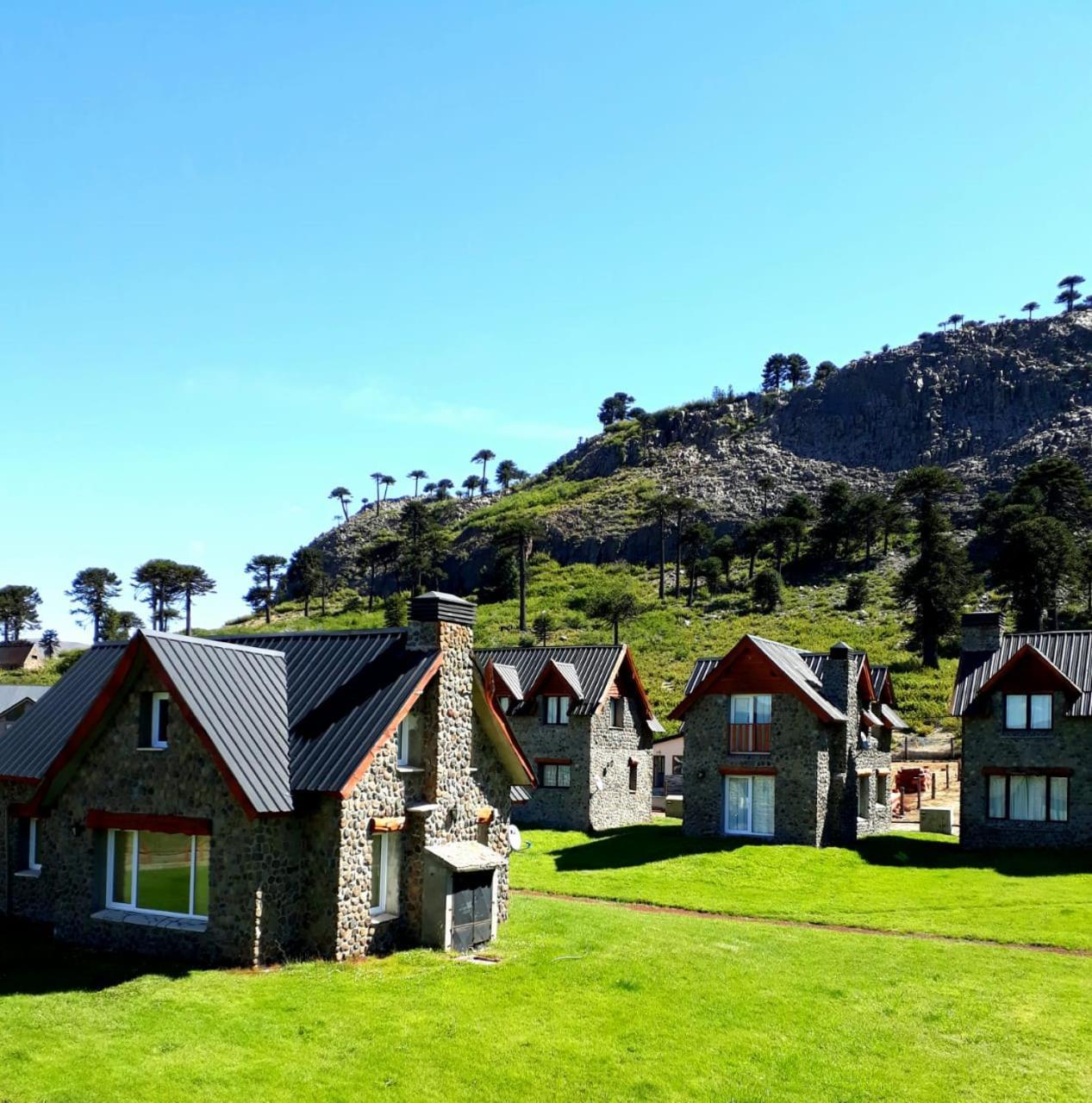 Cabanas Patagonia Village Кавиауэ Экстерьер фото